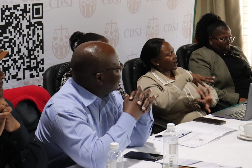 Stakeholders discussing implementation priorities at the CDSJ planning meeting