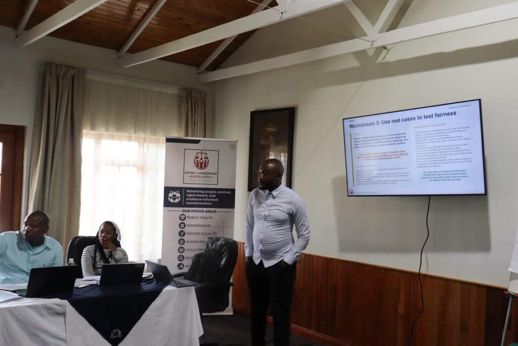 A facilitator presenting a project workstream during the CDSJ planning meeting