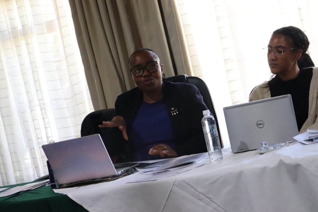 A participant contributing during the CDSJ gender-just criminal justice planning meeting