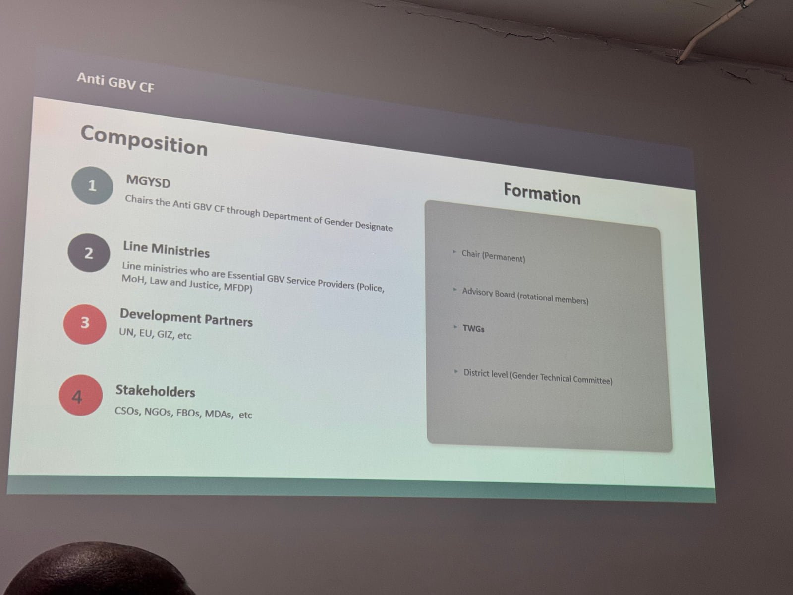 Slide showing the proposed composition and structure of the Anti-GBV Coordination Forum