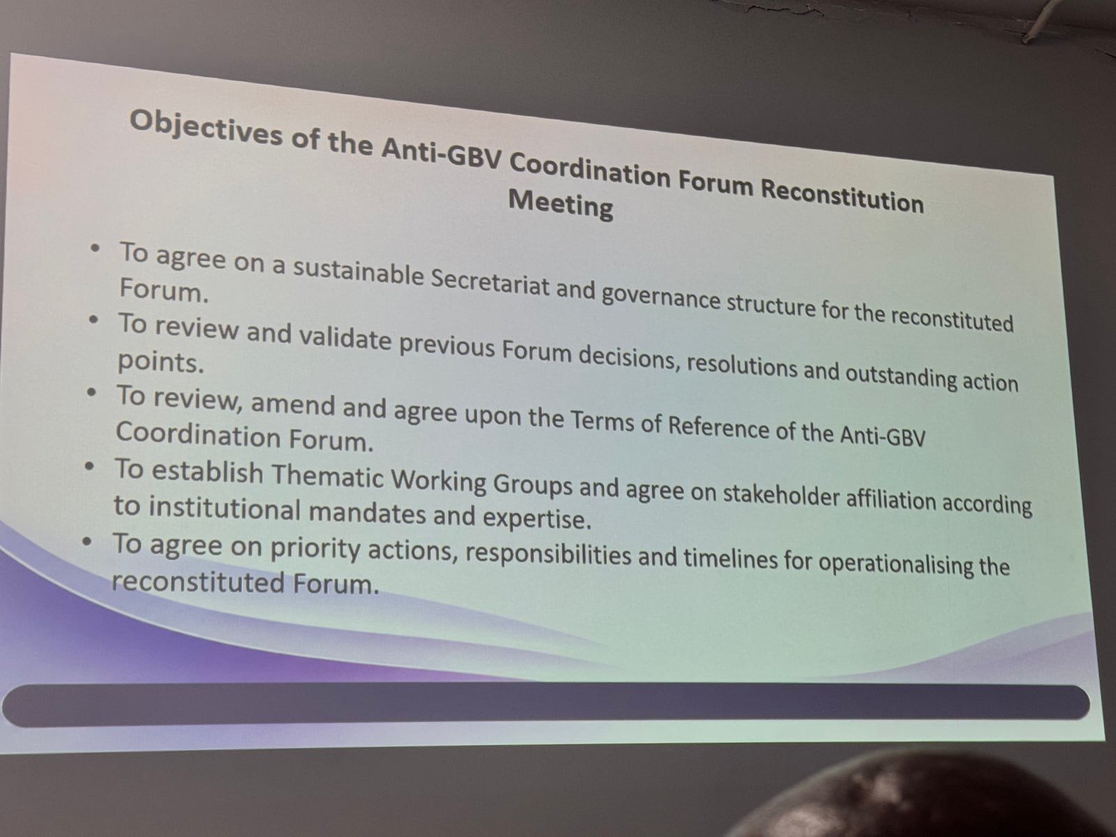 Slide outlining objectives of the Anti-GBV Coordination Forum Reconstitution Meeting